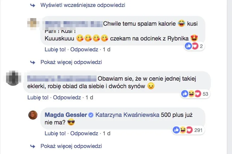 Dyskusja na profilu Magdy Gessler na Facebooku.