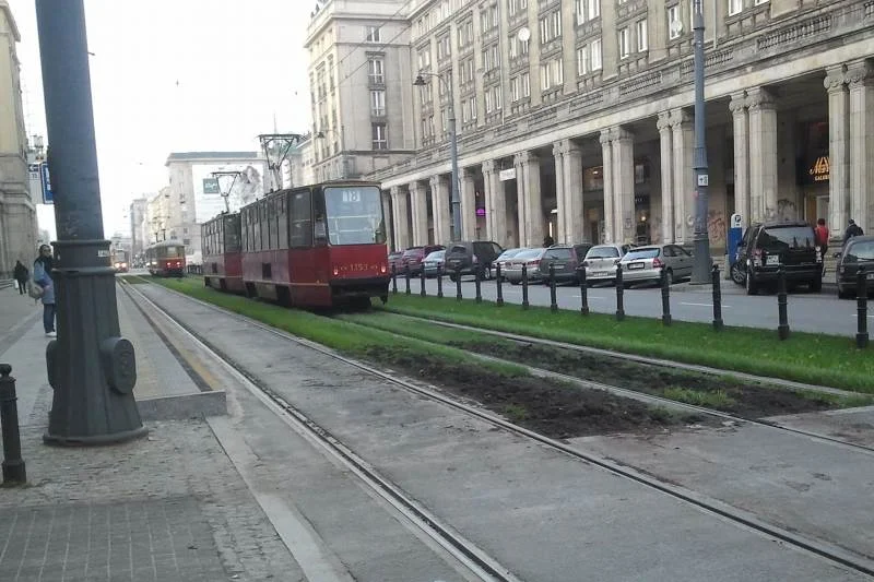 Zniszczona trawa po obchodach Święta Niepodległości w Warszawie