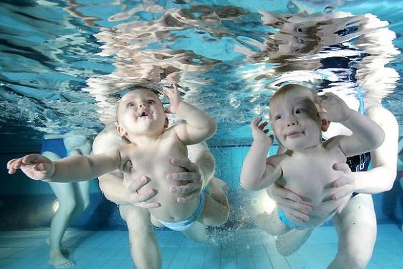 In vitro będzie dostępne za symboliczną kwotę.