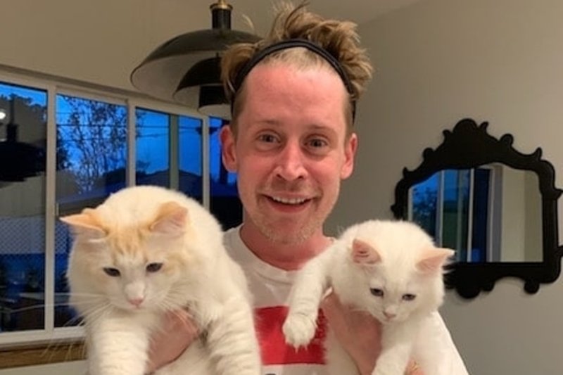 Macaulay Culkin ma już 38 lat.