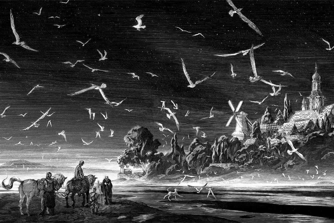 Autor: Nicolas Delort