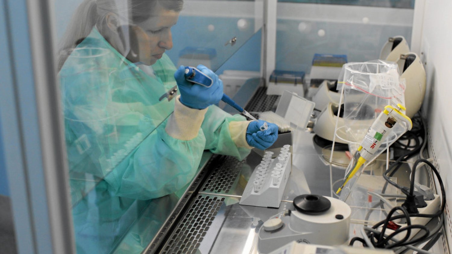 Laboratoria sanepidu wykonują tysiące analiz