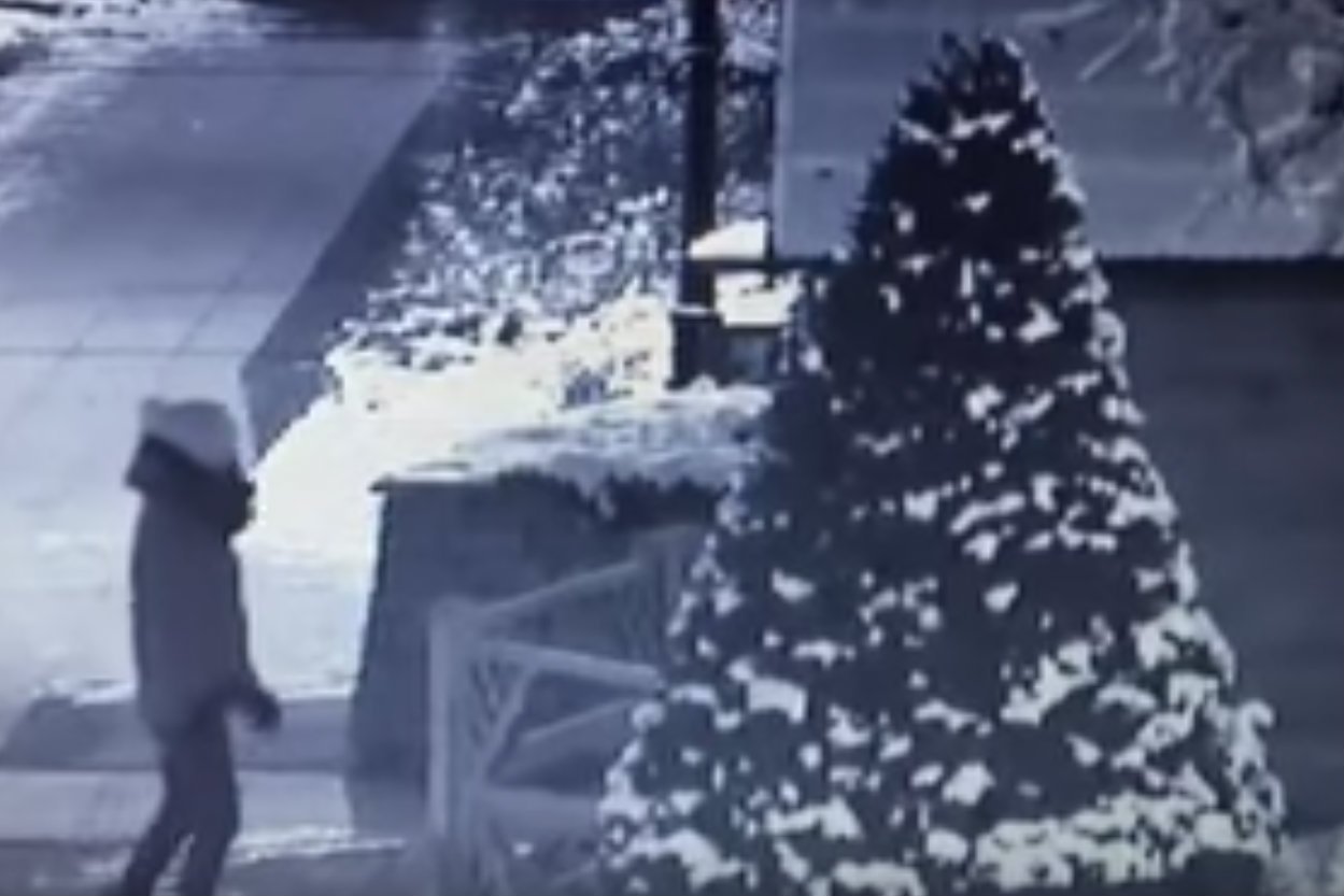 42-letnia pijana mieszkanka Wyszkowa zniszczyła szopkę bożonarodzeniową.