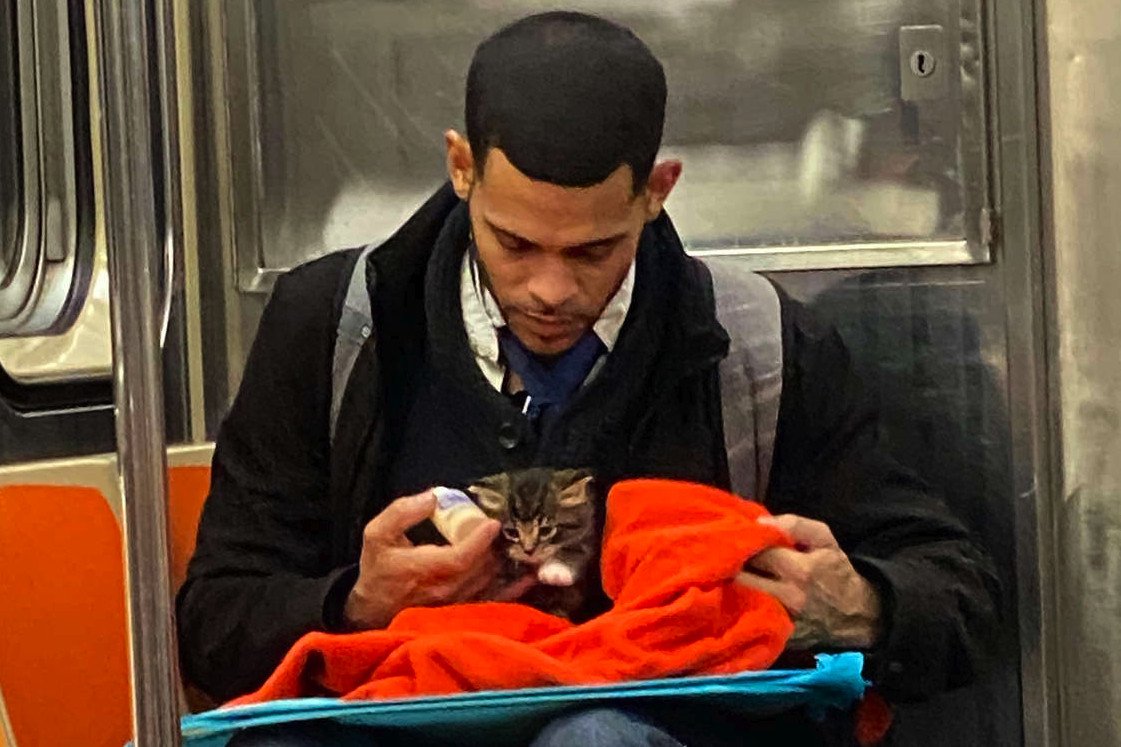 Jedno ze zdjęć, które wykonała Gilian Rogers