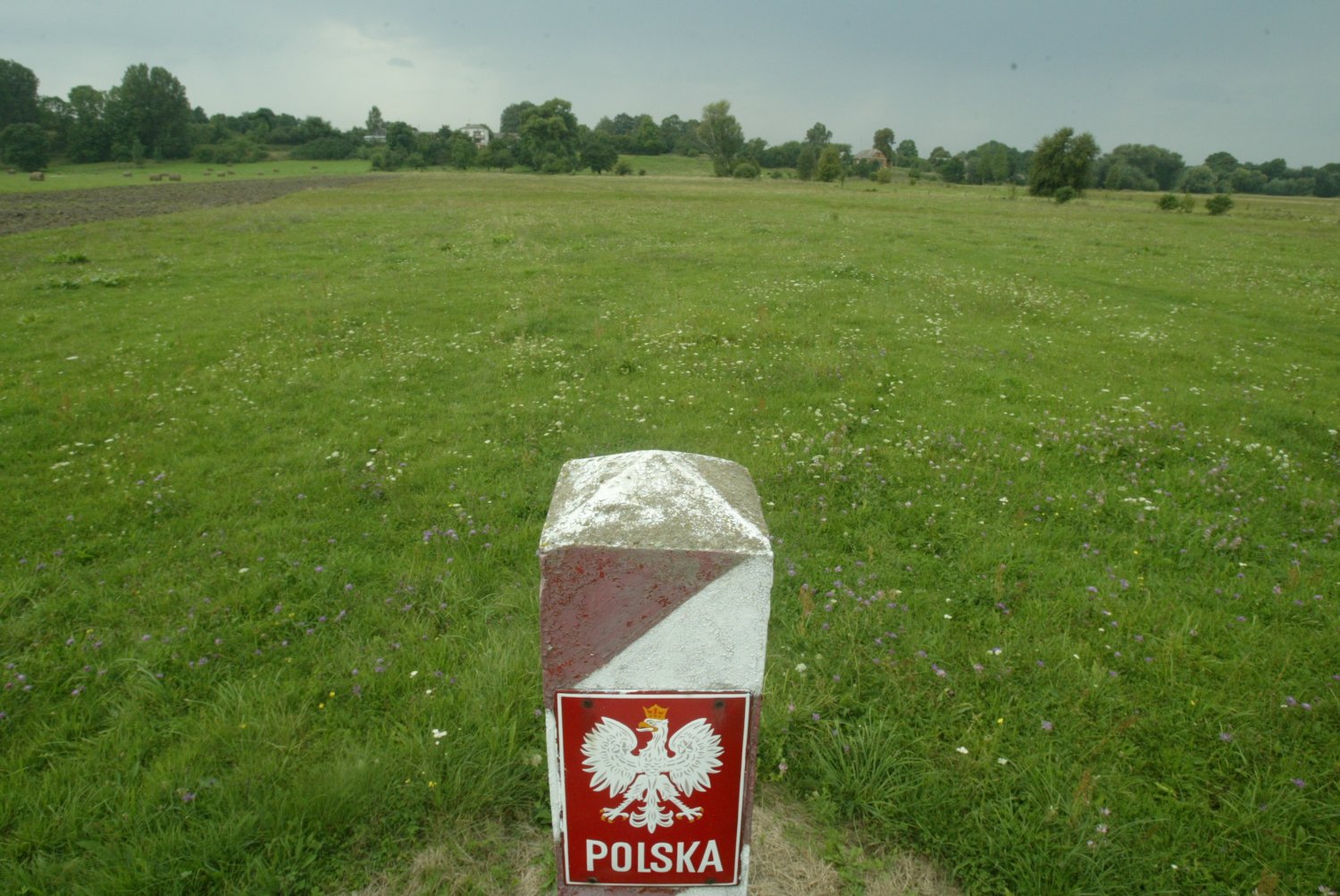 Zatrzymano imigrantów, którzy próbowali nielegalnie przedostać się do Polski.