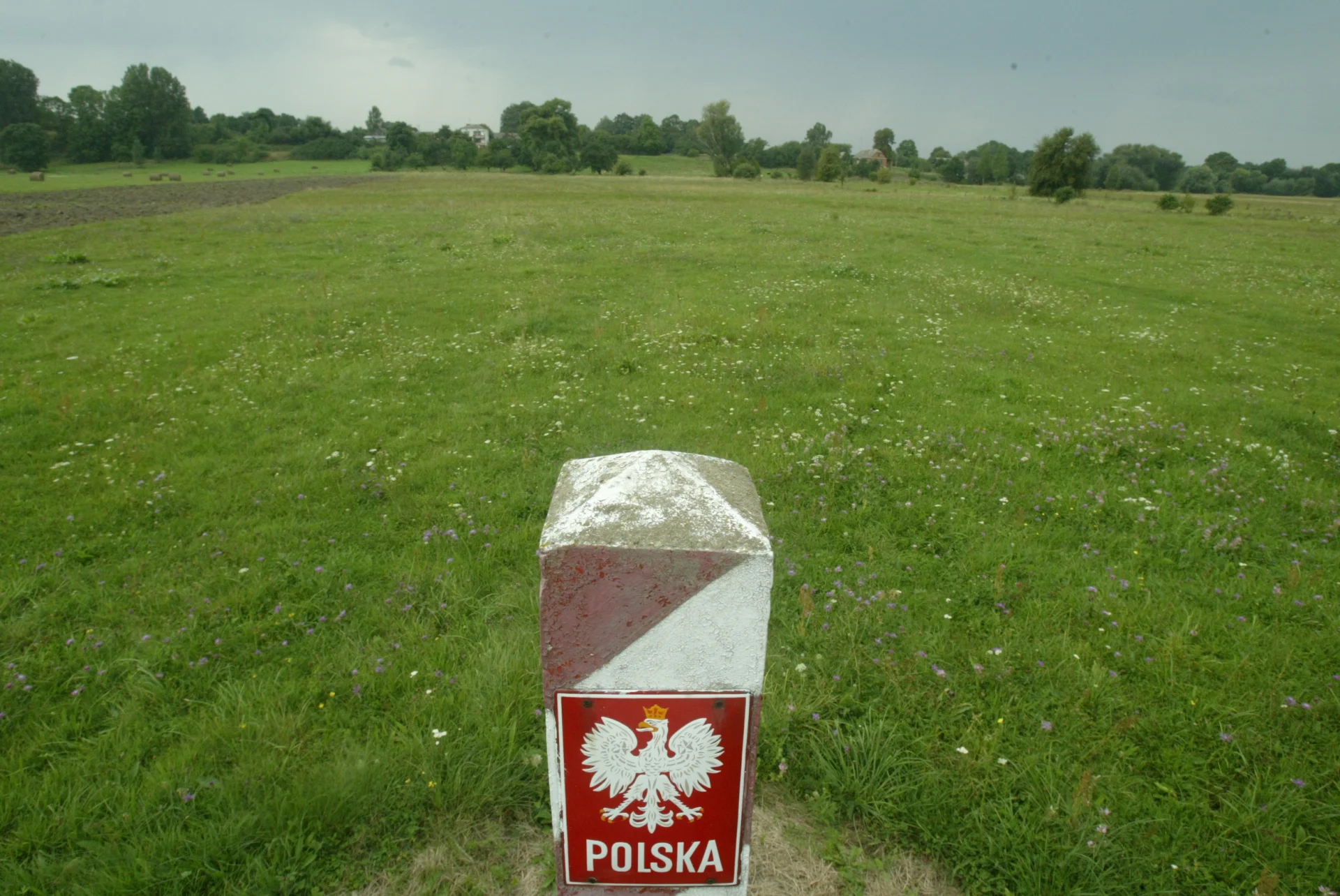 Zatrzymano imigrantów, którzy próbowali nielegalnie przedostać się do Polski.