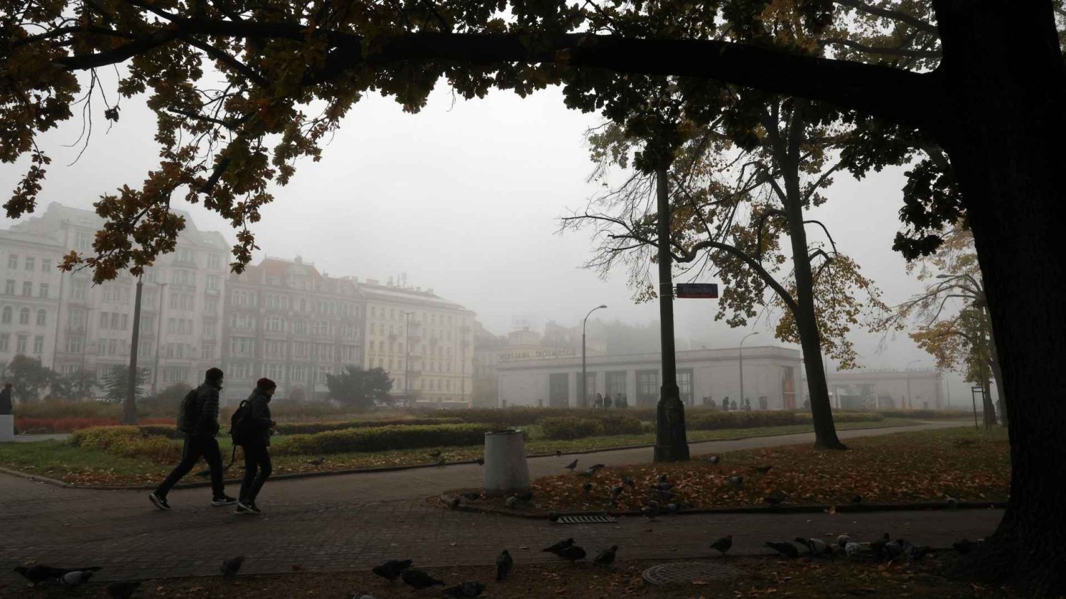 Pogoda w Warszawie na środę. Tak zacznie się nowy miesiąc. Pogoda w Warszawie na środę. Taki będzie 1 października w stolicy.
