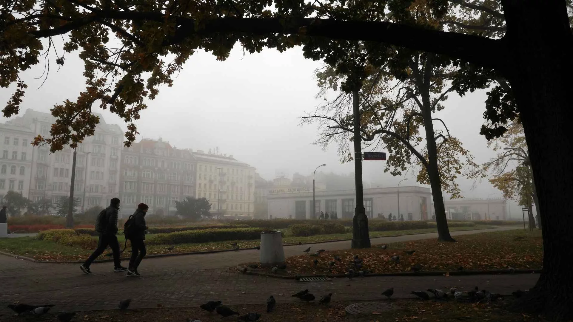 Pogoda w Warszawie na środę. Tak zacznie się nowy miesiąc. Pogoda w Warszawie na środę. Taki będzie 1 października w stolicy.