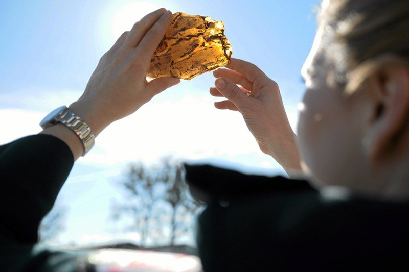 Nawet "surowy" bursztyn zachwyca. Jego wartość wzrośnie, gdy przejdzie obróbkę w rękach profesjonalistów. W Polsce są najlepsi!