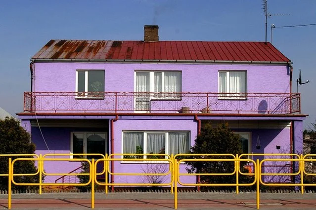 Pasteloza w wersji fluo-jednorodzinnej