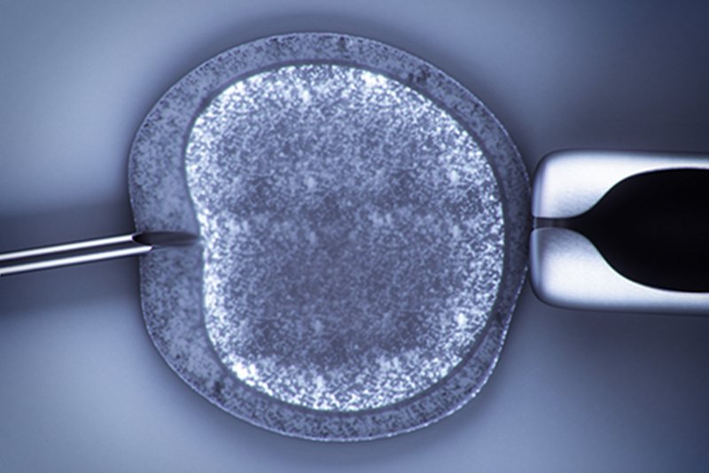 Pierwsza ciąża z rządowego in vitro.