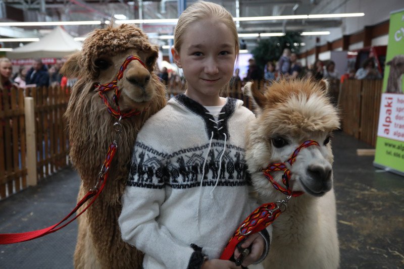 Nela to słynna podróżniczka, która prowadzi własny program i pisze książki podróżnicze. Na rynek trafia właśnie 12 część jej bestsellerowego cyklu ''Nela i mała reporterka''