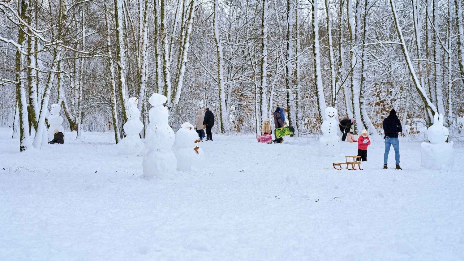 Właśnie taka ma być tegoroczna zima w Polsce. Pierwsze prognozy już są.