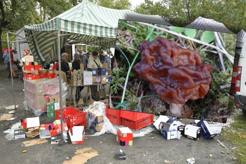 Na bazarze Olimpia w Warszawie sprzedawano trujące grzyby jako jadalne