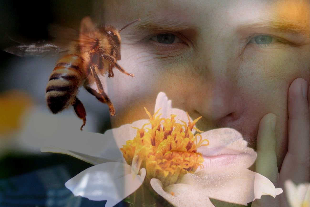 Ugryzła cię pszczoła? To bardzo dobrze. Niezwykłe odkrycie naukowców