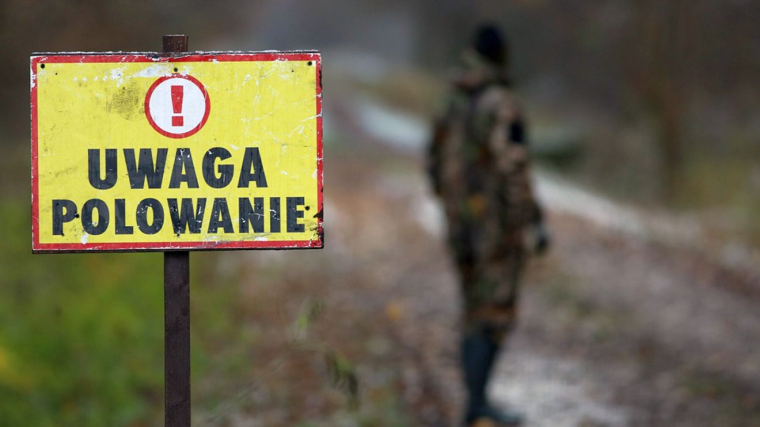 Zabijanie zwierząt to konieczność, przekonują myśliwi. Czy rzeczywiście? Zabijanie zwierząt to konieczność, przekonują myśliwi. Czy rzeczywiście?