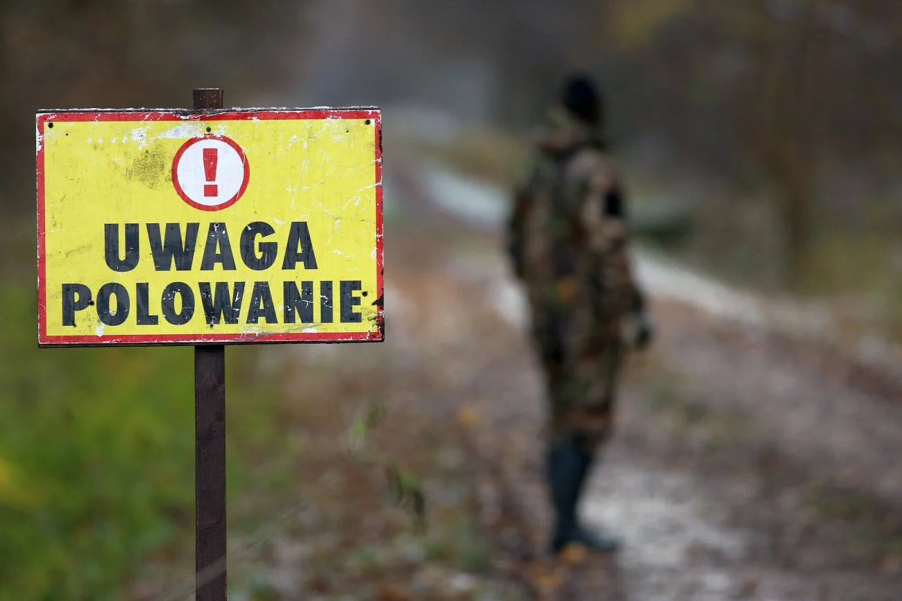 Zabijanie zwierząt to konieczność, przekonują myśliwi. Czy rzeczywiście? Zabijanie zwierząt to konieczność, przekonują myśliwi. Czy rzeczywiście?