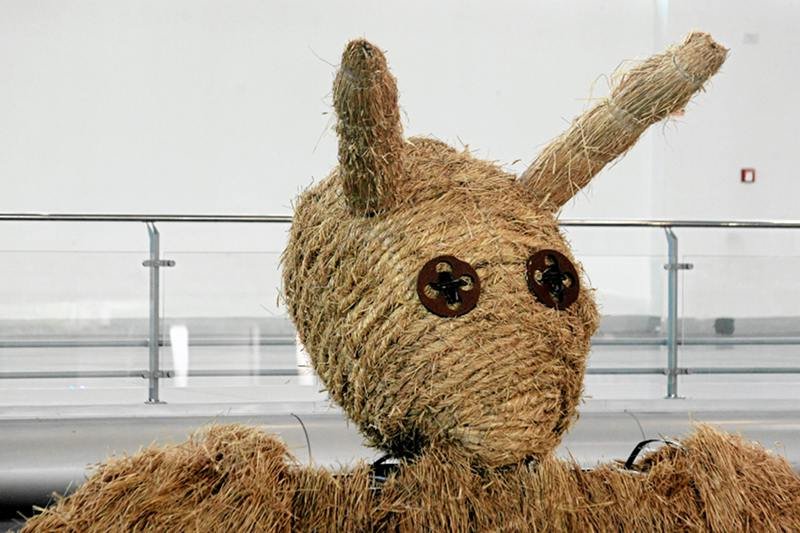 Miś z kultowego filmu Stanisława Barei