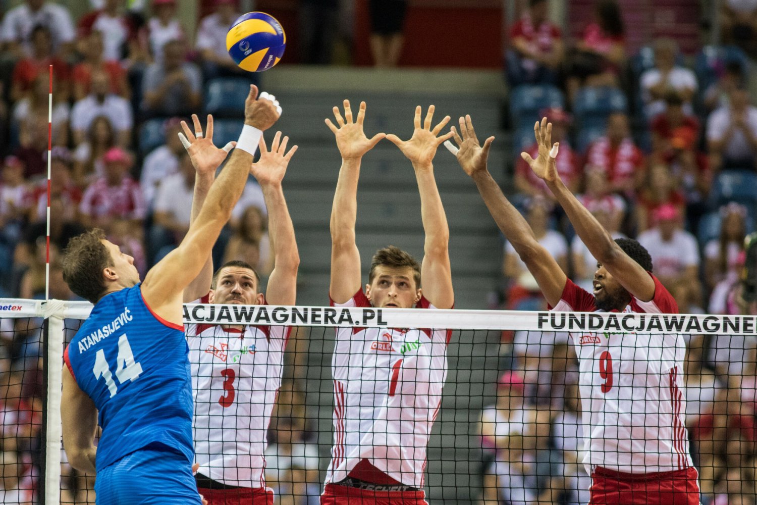 Alksandar Atanasijević ma coś do udowodnienia Vitalowi Heynenowi