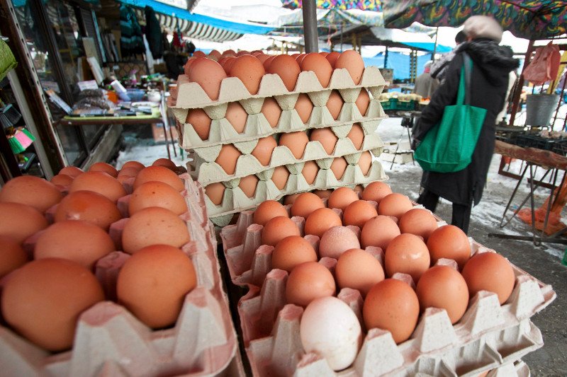 Należy się spodziewać podwyżki cen jaj. Wszystko z powodu wzrastającego popytu na zagranicznych rynkach.