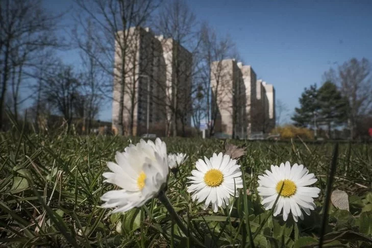 Jaka pogoda na weekend? Przed nami długo wyczekiwane ocieplenie.