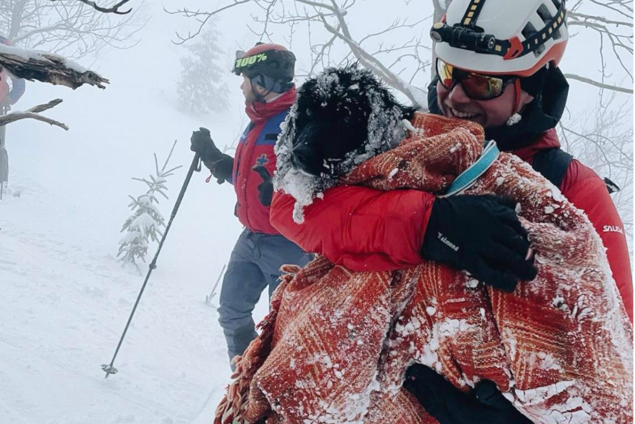 GOPR znalazł wyziębionego psa w rejonie Babiej Góry. Jest apel ratowników