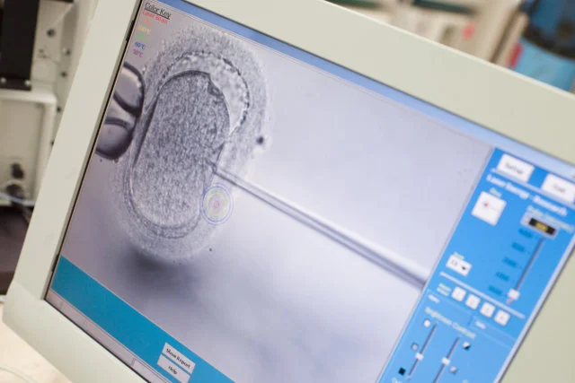 Dyrektorzy klinik boją się rządów prawicy. Prawo i Sprawiedliwość odejdzie od metody in vitro?