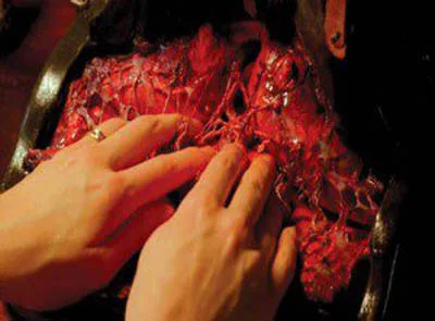 Tomasz Kozak, "Flash of the New Flesh", 2011, 63 min