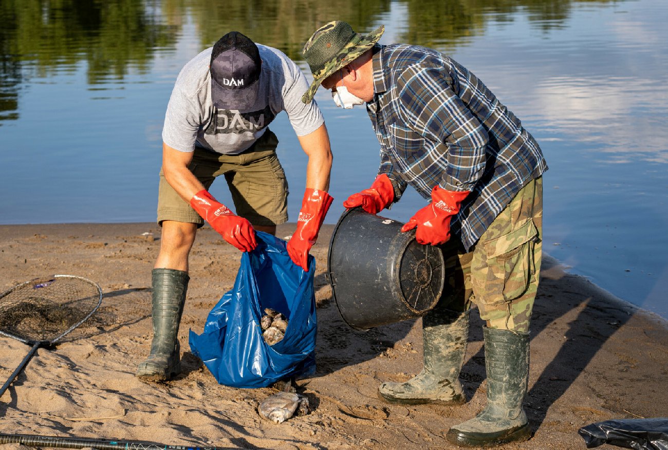Katastrofa ekologiczna Odry. Urzędnicy mieli odmowić badań martwych ryb