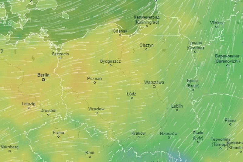 Pierwszy tydzień marca ma być umiarkowanie ciepły.