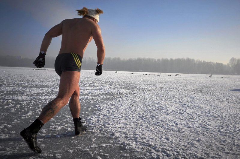Fotografia poglądowa - przedstawia morsa korzystającego z uroków zimy na Jeziorze Pogorie w Dąbrowie Górniczej.