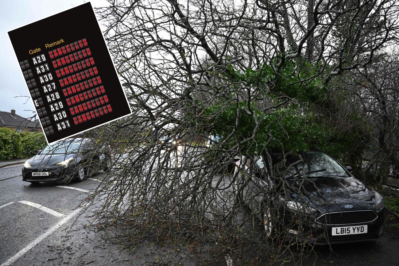 Orkan Pia szaleje po Europie łamiąc drzewa