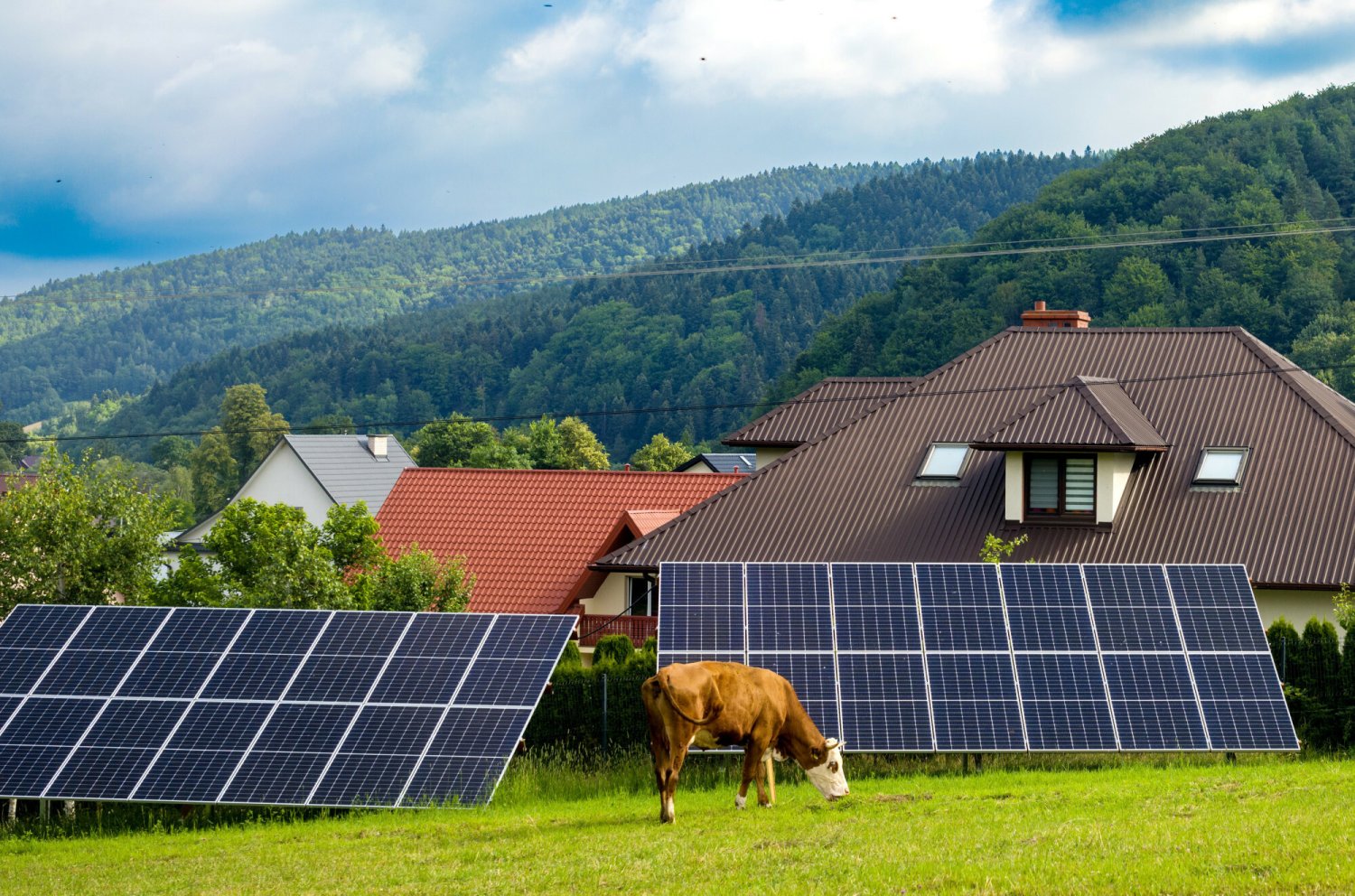 Gdzie należy wyrzucić panele fotowoltaiczne?