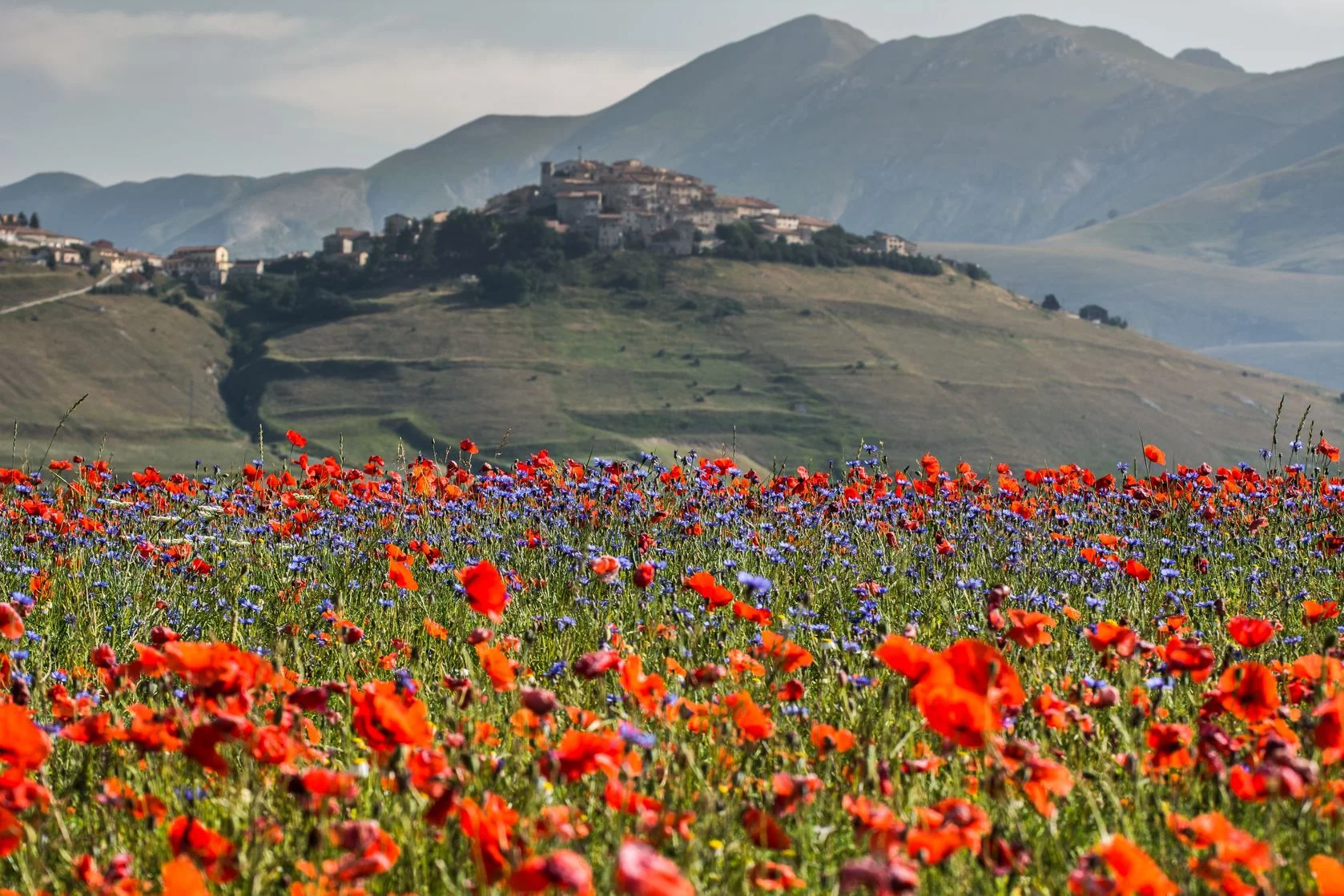 Miasteczko Castelluccio w Umbrii, górzystym regionie w środkowych Włoszech, słynie z upraw maków i soczewicy.