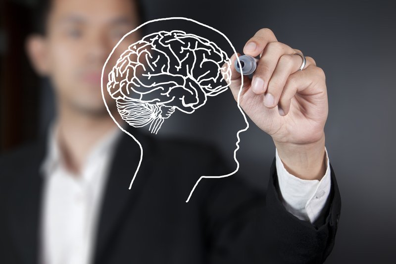 Mózg powstało na Ohio University w USA