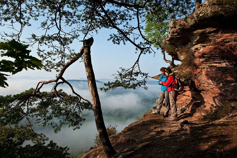 W ramach zrównoważonej turystyki, łączącej aktywny wypoczynek z poszanowaniem dla przyrody, Niemcy rozwijają swoją bogatą ofertę "outdoor experiences", czyli rekreacji na świeżym powietrzu