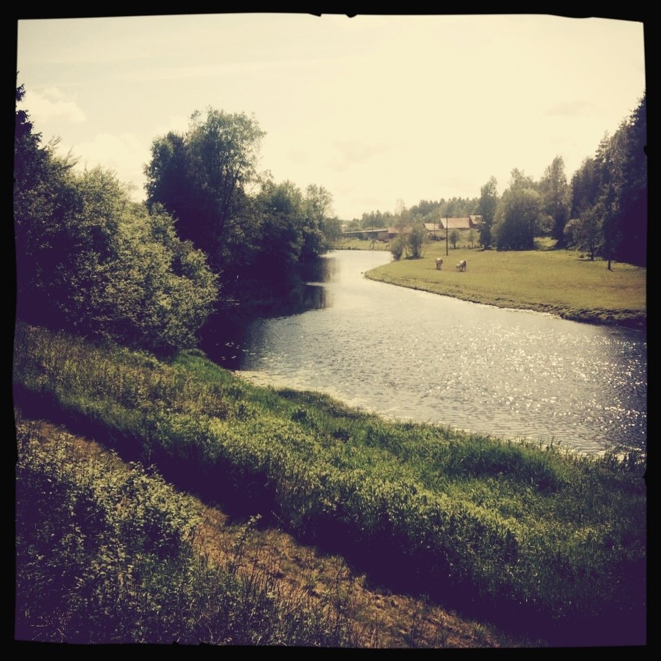 Widok z okna na rzeczkę "Szeptulę"