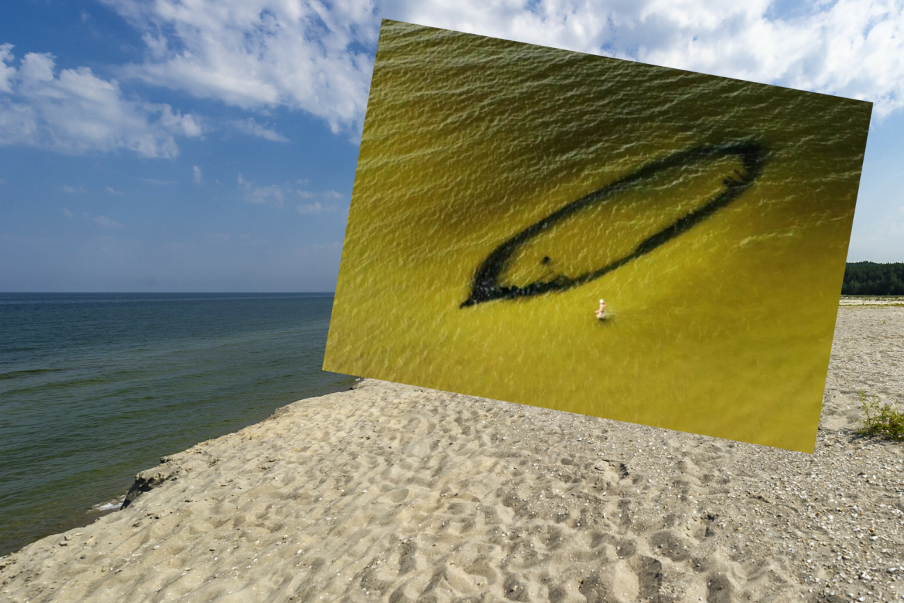 Zaskakujący widok na Mierzei Wiślanej. Zdjęcie hitem internetu.