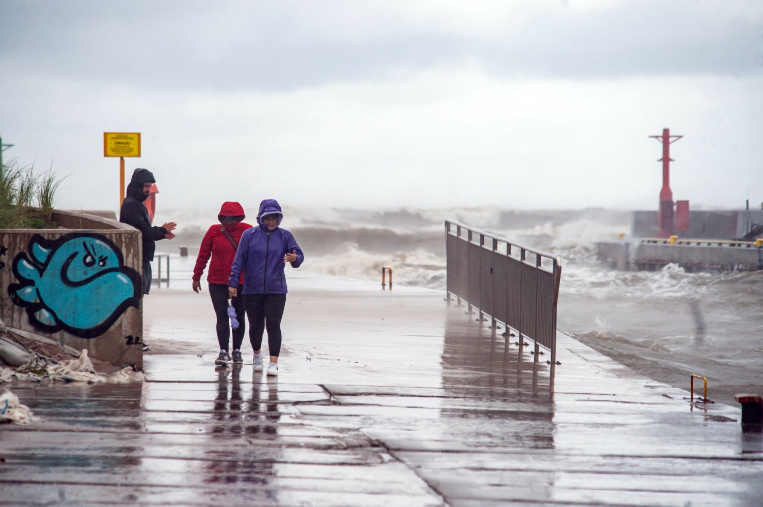 Zdjęcie jest ilustracją do tekstu.