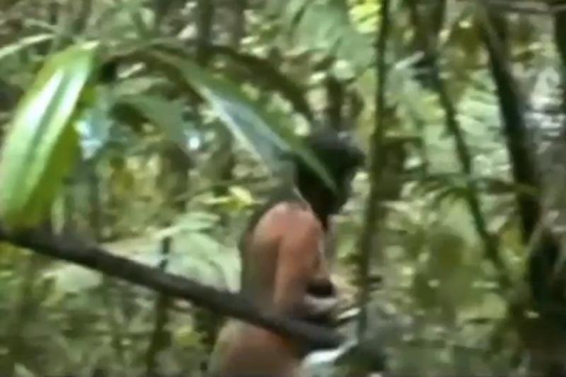 Pracownikowi brazylijskiego rządu udało się nagrać z bliska członków plemienia Kawahiva.