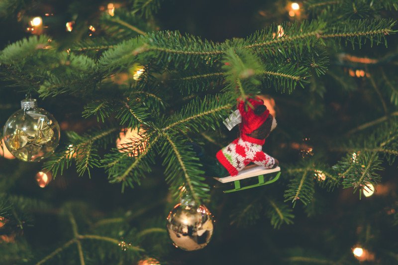 Co robić, żeby choinka nie traciła igieł?
