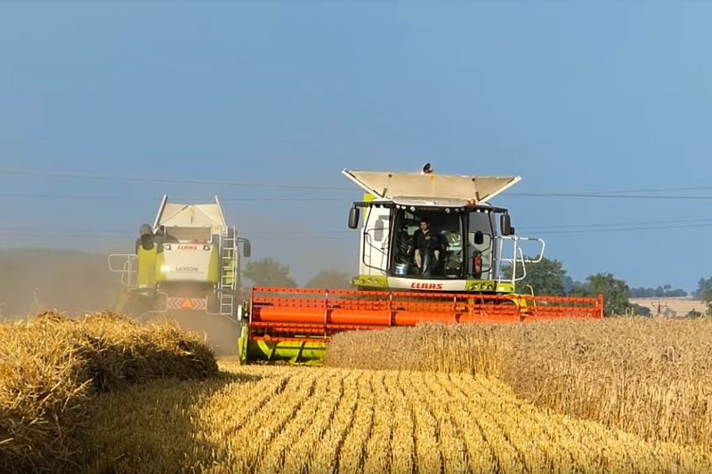 Rząd przygotował ułatwienia w staraniu się o dopłaty bezpośrednie.