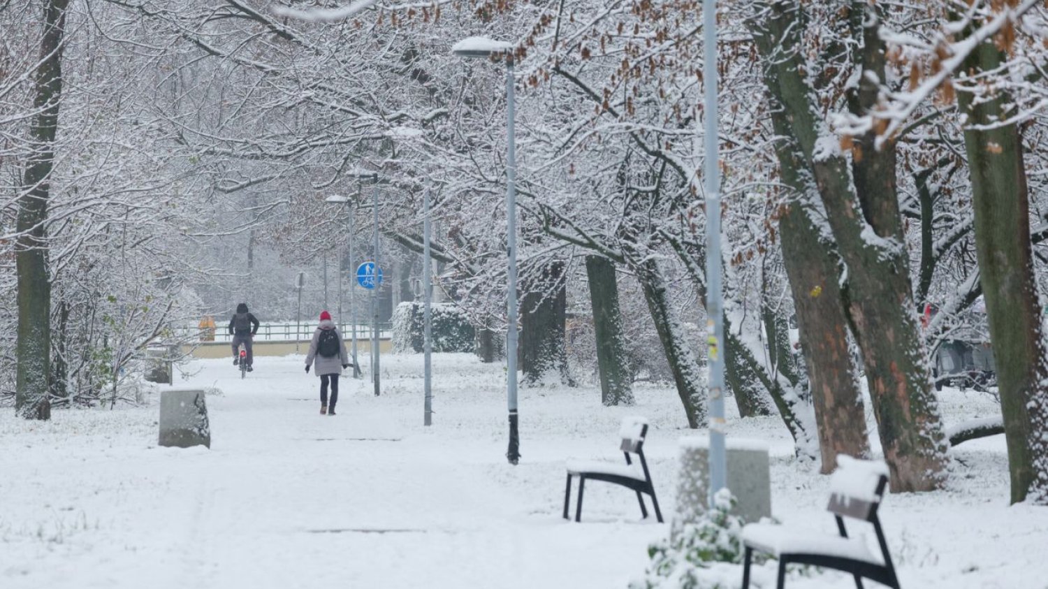 Na południu Polski spadnie porządny śnieg. IMGW wydał ostrzeżenie. Zima zawitała do Polski. Nowa prognoza pogody, w niej intensywne opady śniegu.