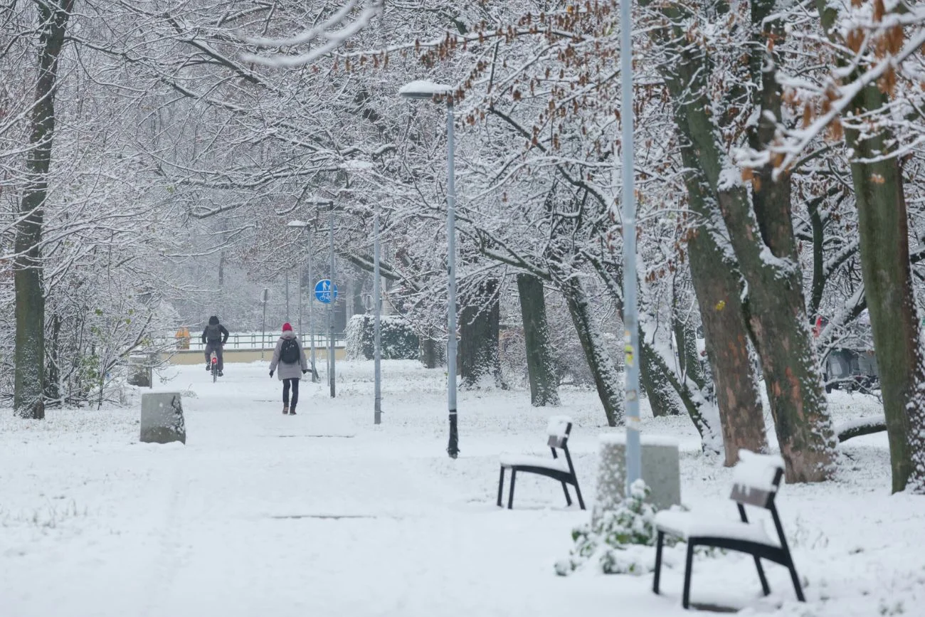 Na południu Polski spadnie porządny śnieg. IMGW wydał ostrzeżenie. Zima zawitała do Polski. Nowa prognoza pogody, w niej intensywne opady śniegu.