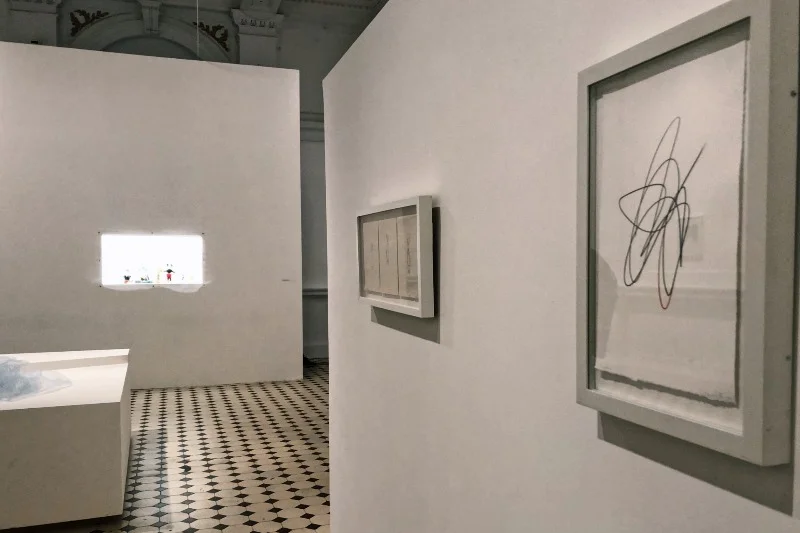 Na wystawie Sytuacje zobaczymy grafiki, za które artystka została nagrodzona w 1986 roku na Międzynarodowym Biennale Grafiki w Krakowie