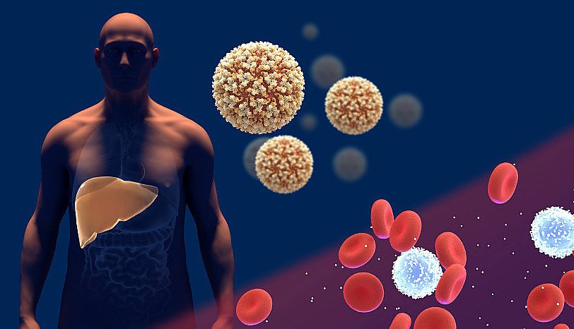 Nagroda Nobla z medycyny i fizjologii 2020: H. Alter, M. Houghton, C. Rice