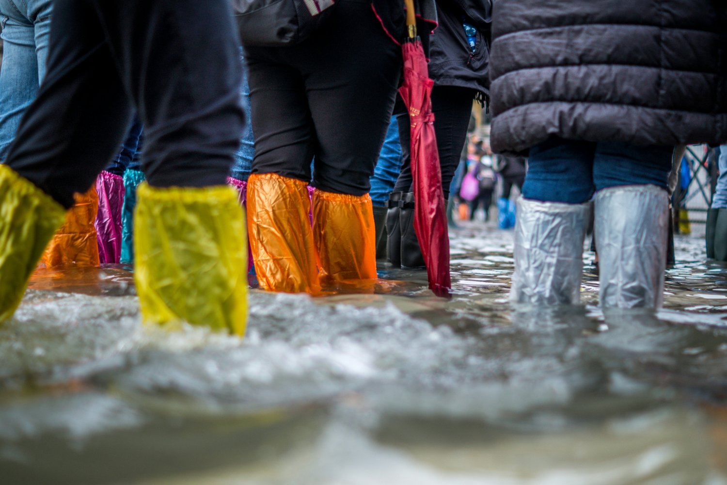 "Cykl staje się coraz bardziej nieprzewidywalny". Światowa instytucja ostrzega
