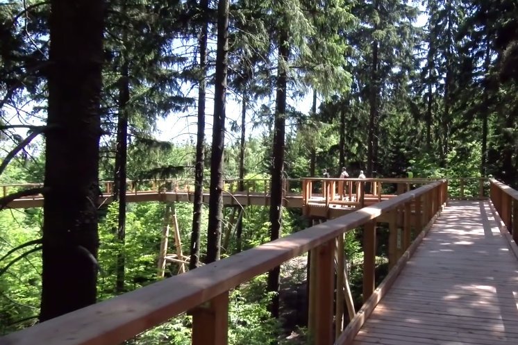 Czesi wiedza jak przyciągnąć turystów. Tym razem chcą przyciągnąć Polaków. Przy granicy powstała ogromna ścieżka wśród drzew. Podobną na południu Czech odwiedza rocznie ponad 20 tys. turystów.