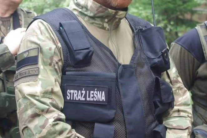 Kontrowersyjna naszywka na mundurze strażnika leśnego