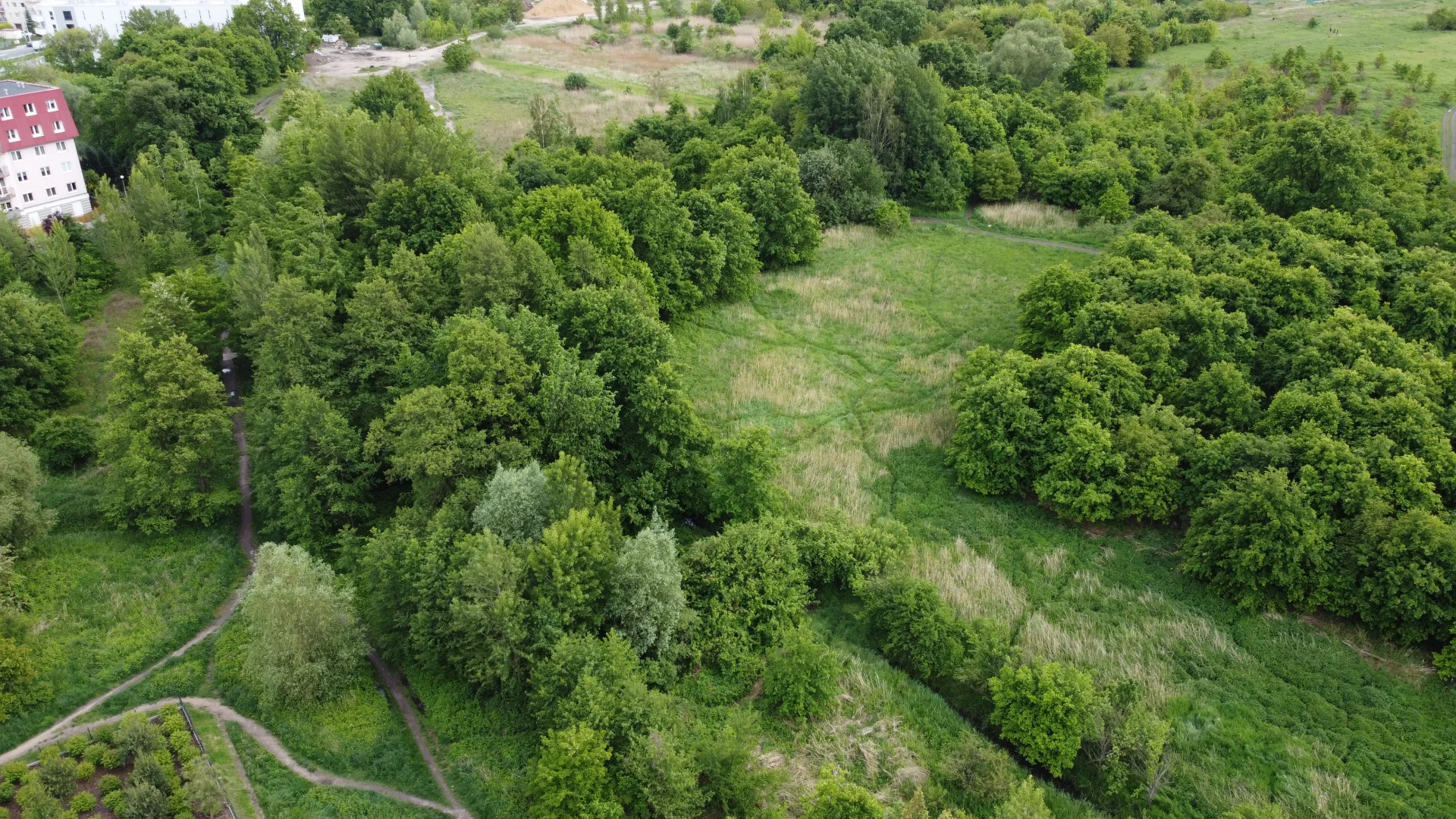 Ekosystem Olszówki Krzyckiej, Wrocław